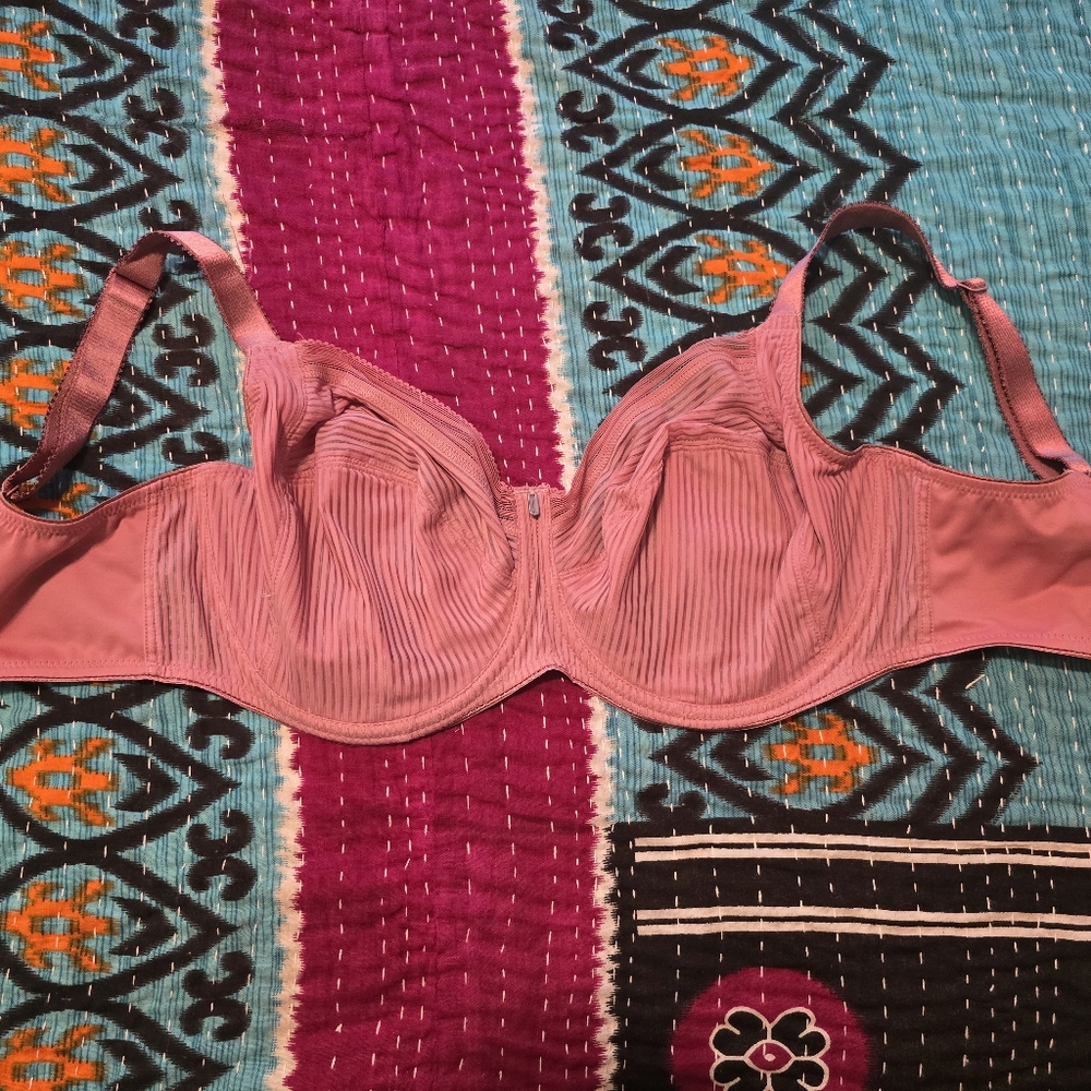 Fantasie Pink Sheer Striped Bra Unpadded Underwire - Picture 2 of 6